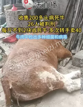 销售病死牛被判刑